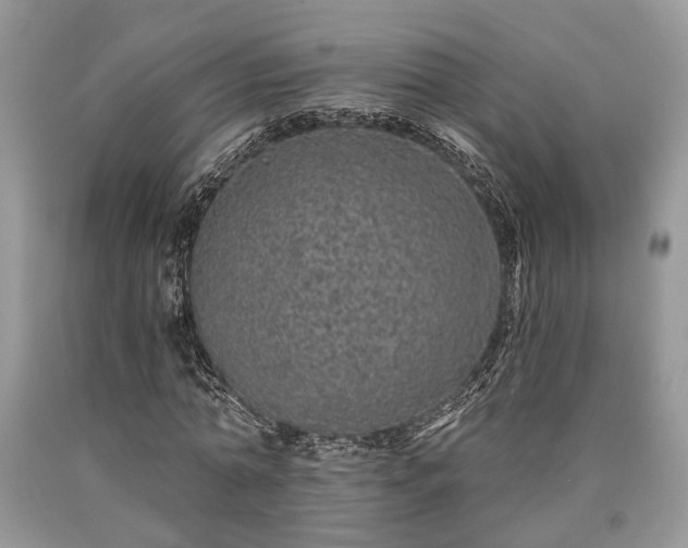 X0000090500774200707201546