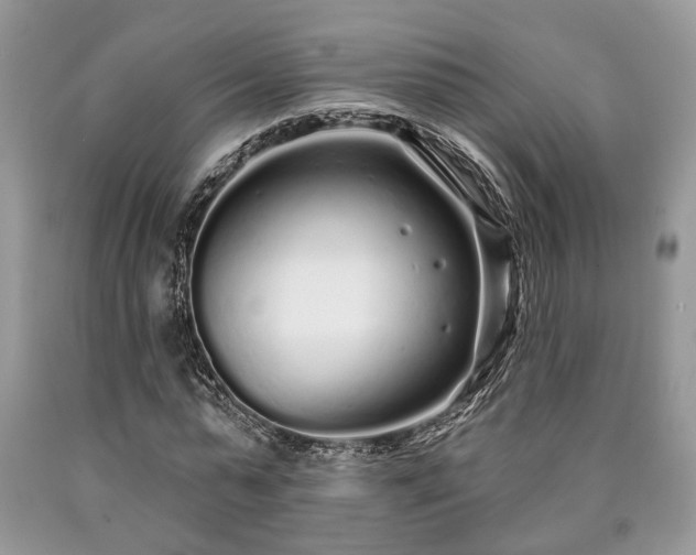 X0000090500775200707201546