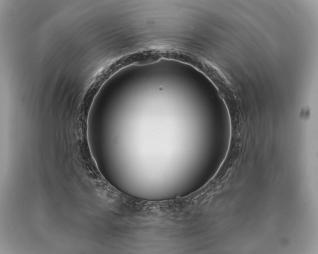 X0000090500776200707201546