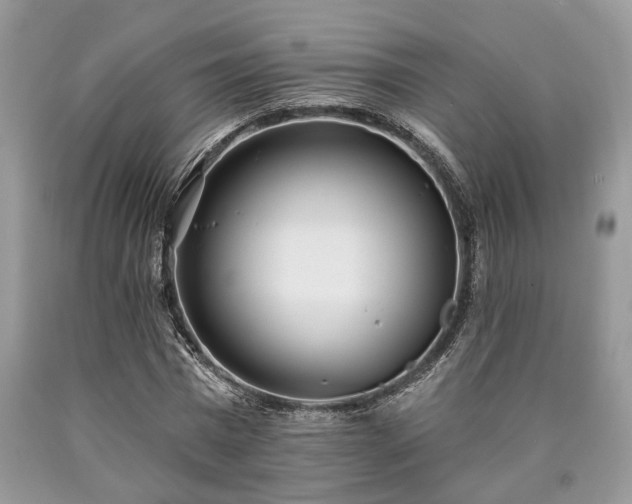 X0000090500777200707201546