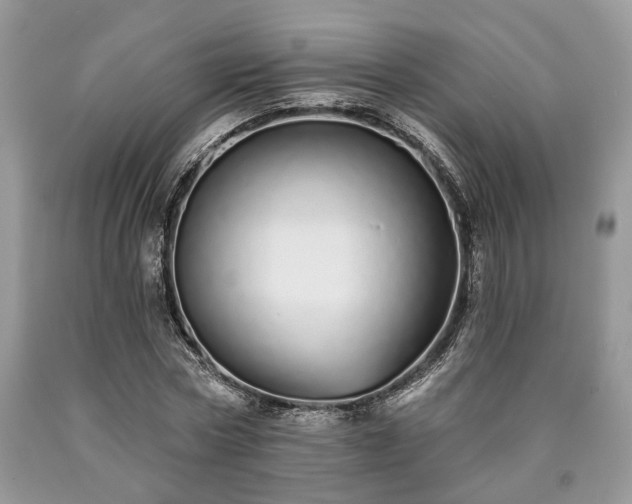 X0000090500778200707201546