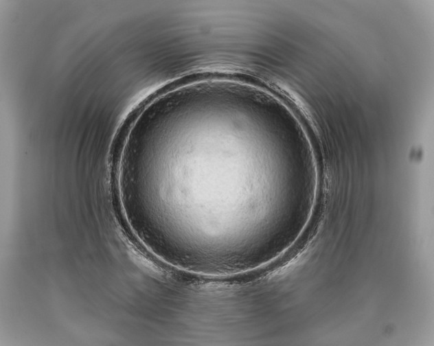 X0000090500779200707201546