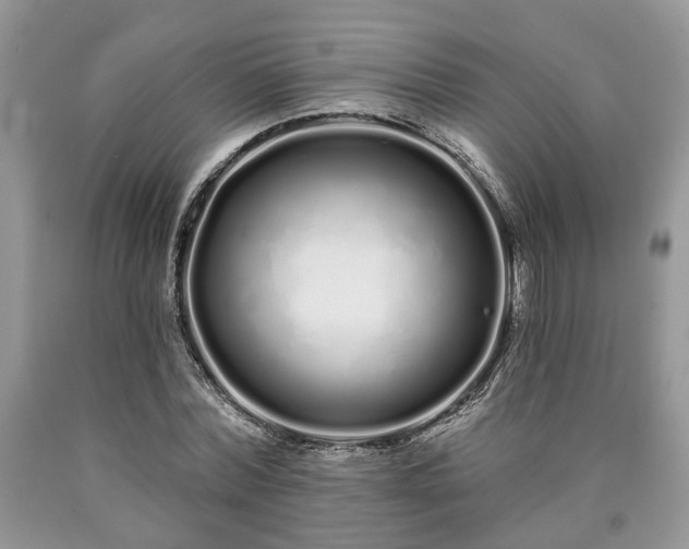 X0000090500780200707201546