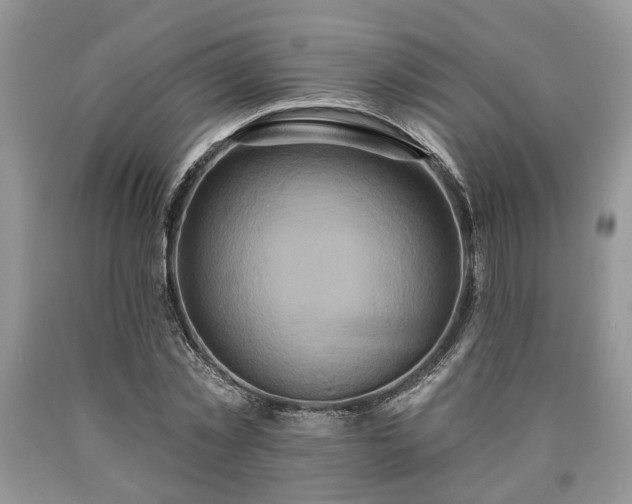 X0000090500781200707201546
