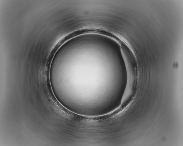 X0000090500783200707201546