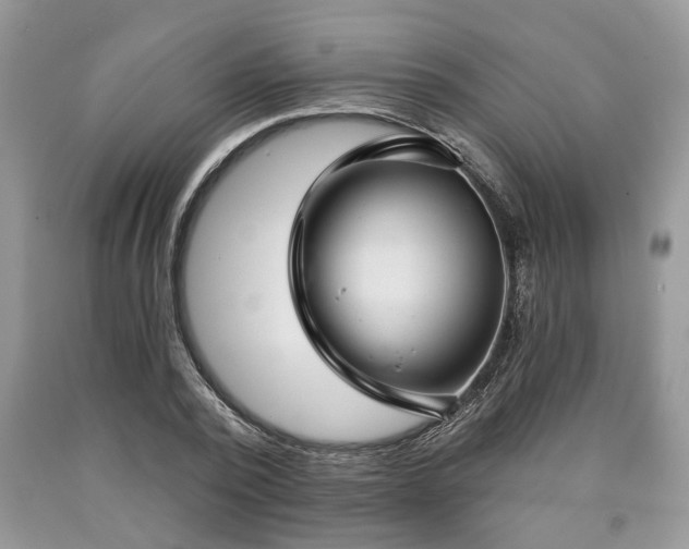 X0000090500784200707201546