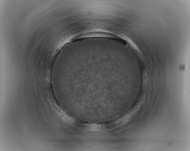 X0000090500785200707201546