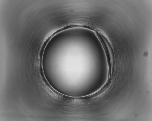X0000090500787200707201546