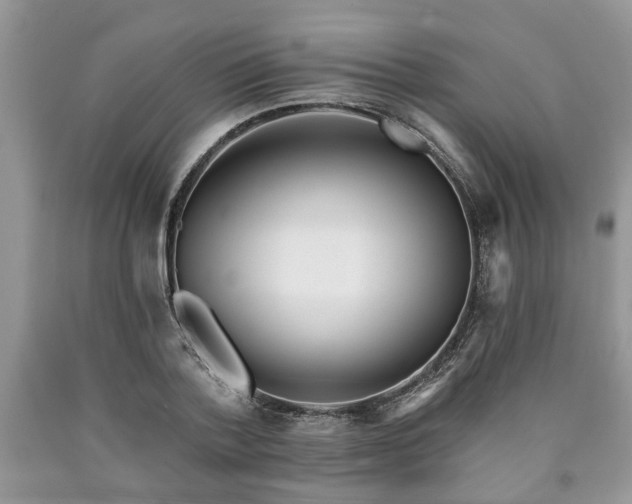 X0000090500788200707201546