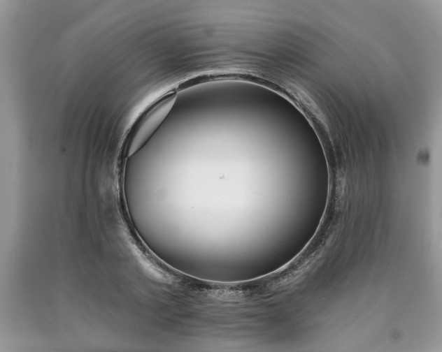 X0000090500789200707201546