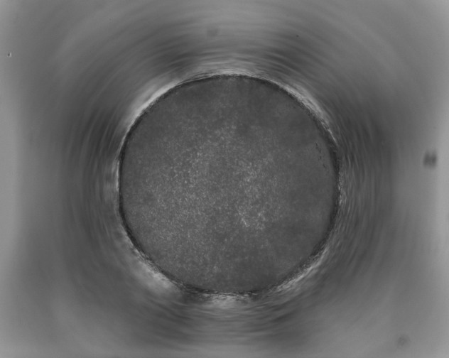 X0000090500790200707201546