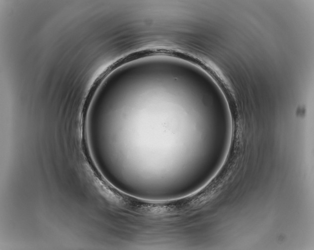 X0000090500791200707201546