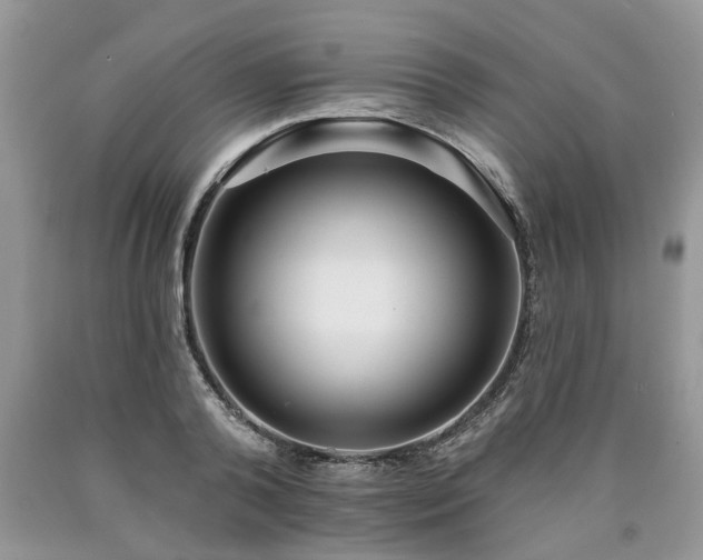 X0000090500792200707201546