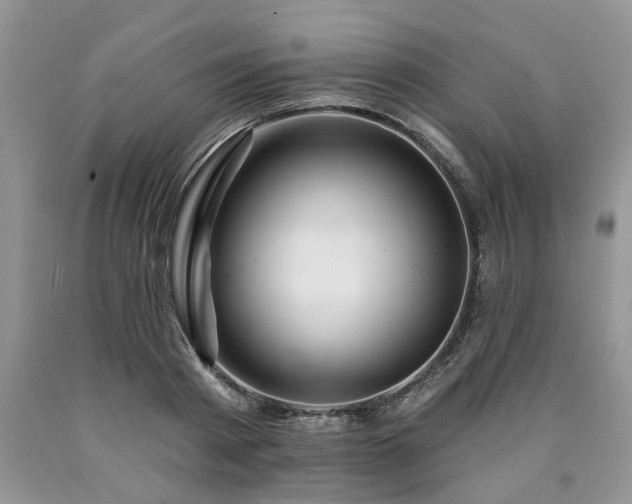 X0000090500793200707201546