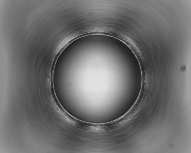 X0000090500794200707201546