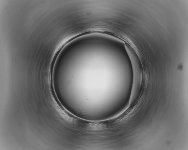 X0000090500795200707201546