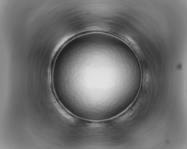 X0000090500796200707201546