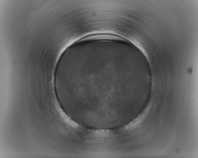 X0000090500797200707201546