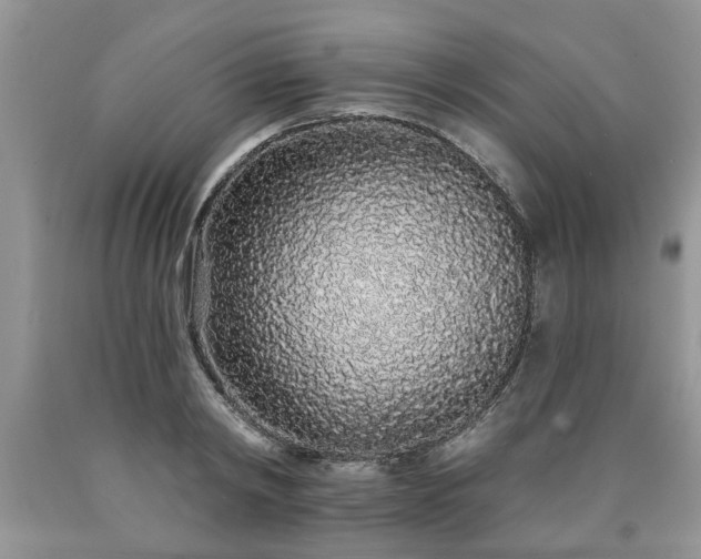 X0000090500798200707201546