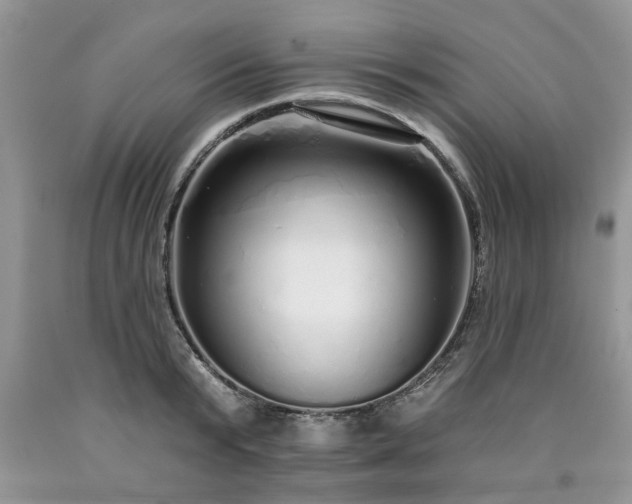 X0000090500799200707201546