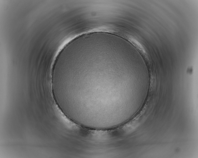 X0000090500800200707201546