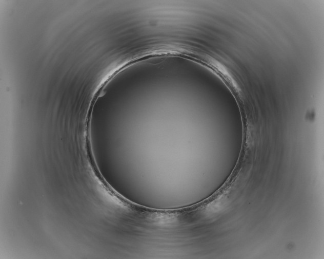 X0000090500802200707201545