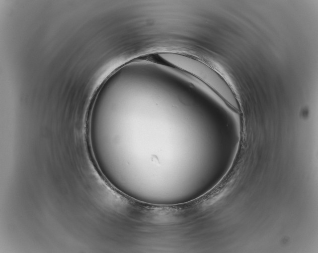 X0000090500803200707201545