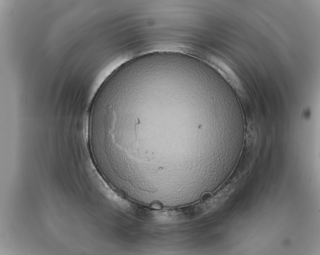 X0000090500804200707201545