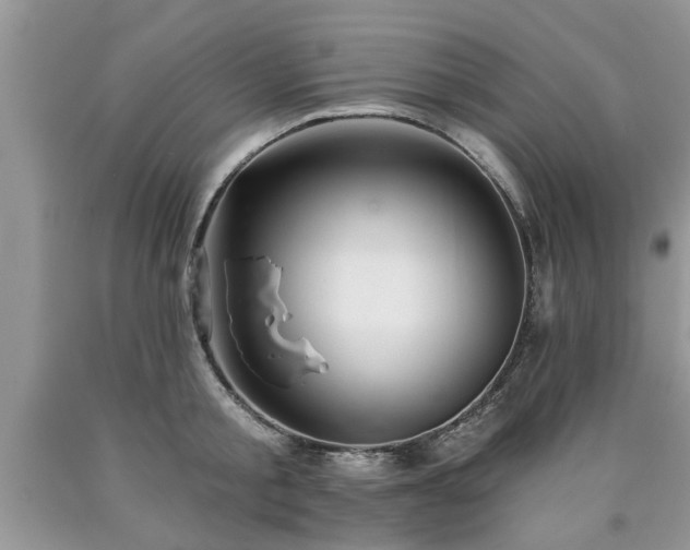 X0000090500805200707201545