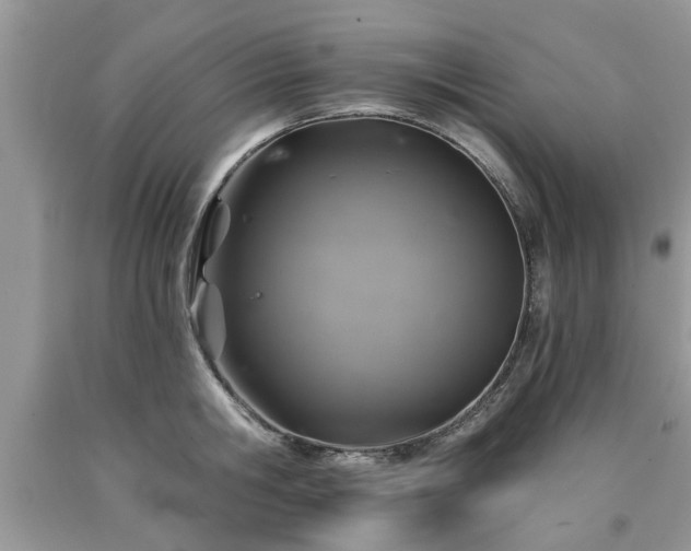 X0000090500806200707201545