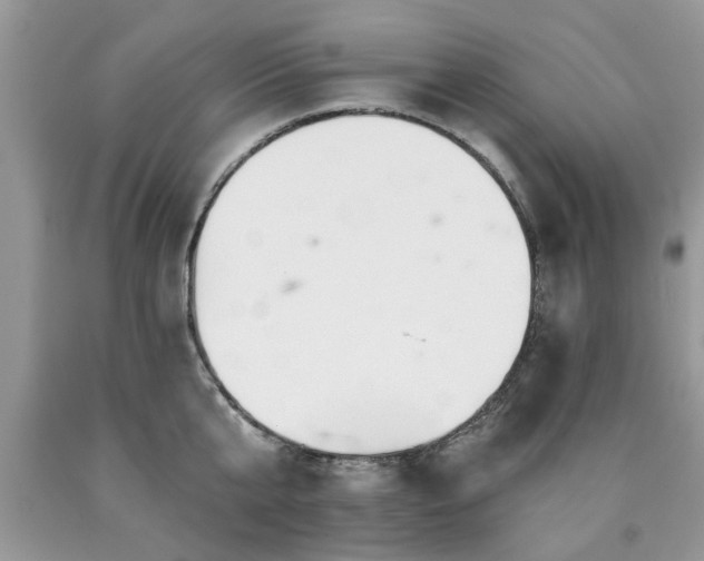 X0000090500807200707201545