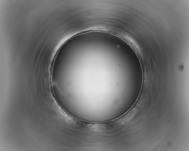 X0000090500808200707201545