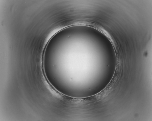X0000090500811200707201545
