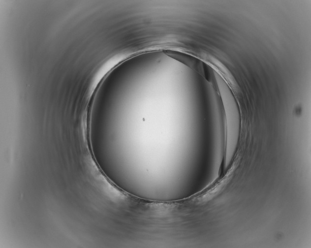 X0000090500812200707201545