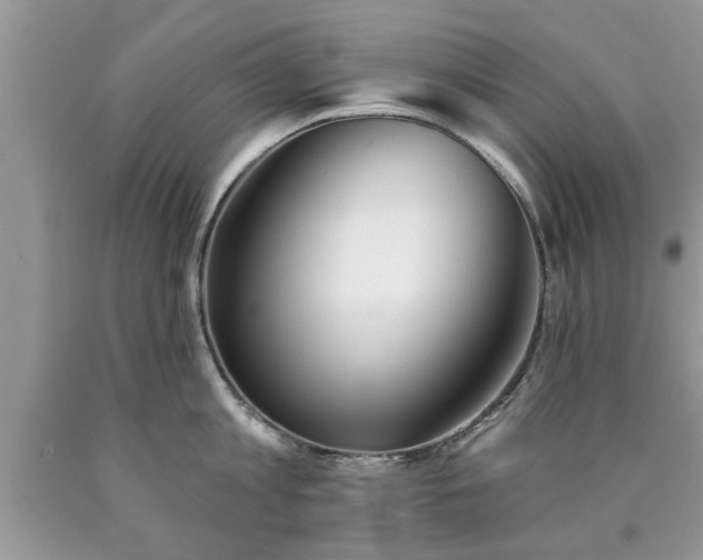 X0000090500813200707201545