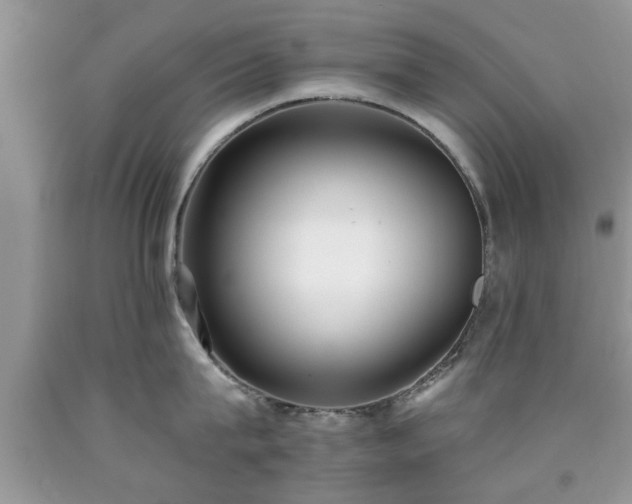 X0000090500815200707201545