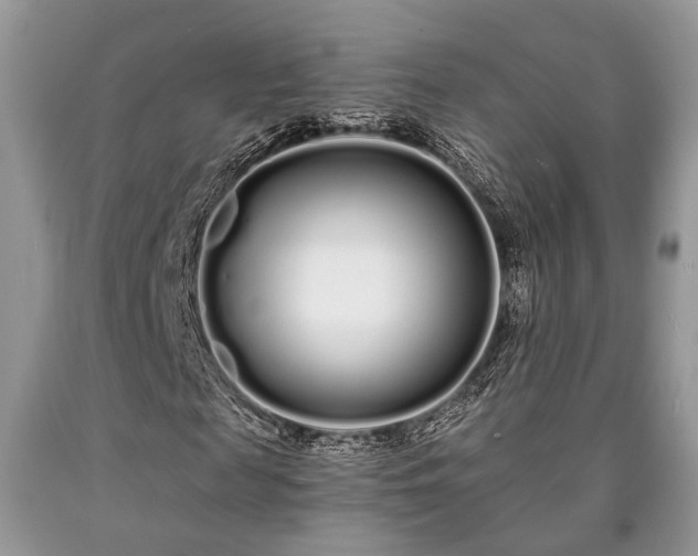 X0000090500817200707201545