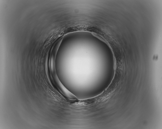 X0000090500818200707201545