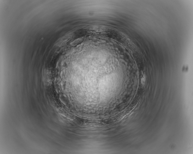 X0000090500819200707201545