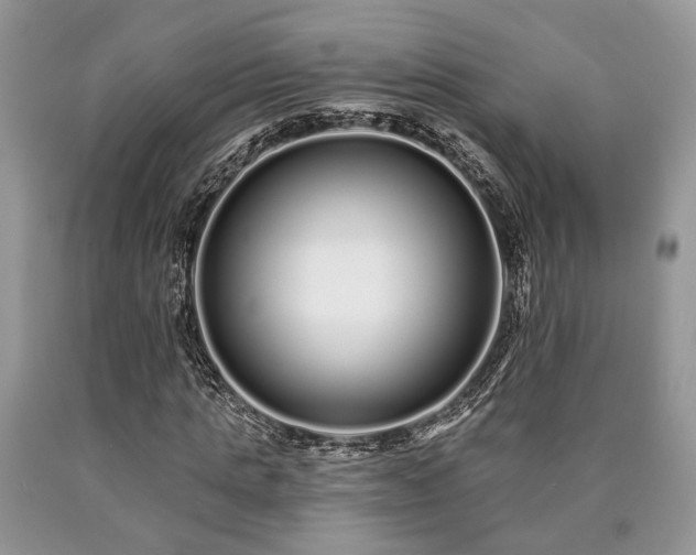 X0000090500821200707201545