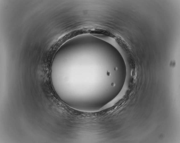 X0000090500822200707201545