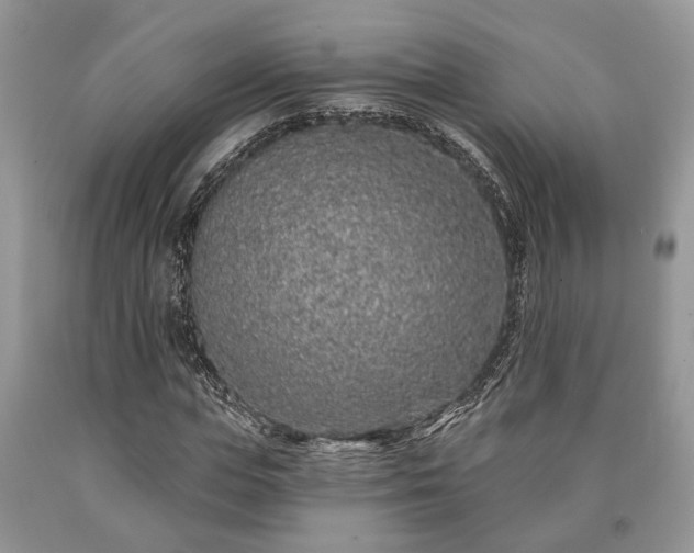 X0000090500823200707201545