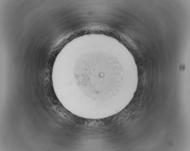 X0000090500824200707201545