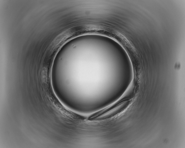 X0000090500825200707201545