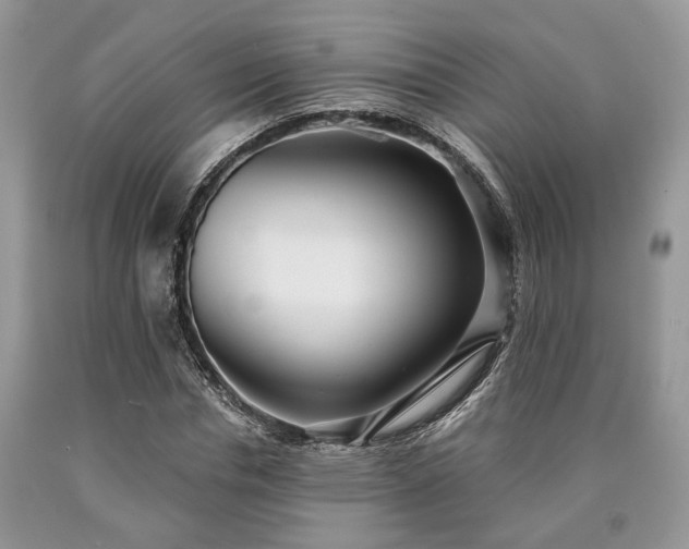 X0000090500826200707201545