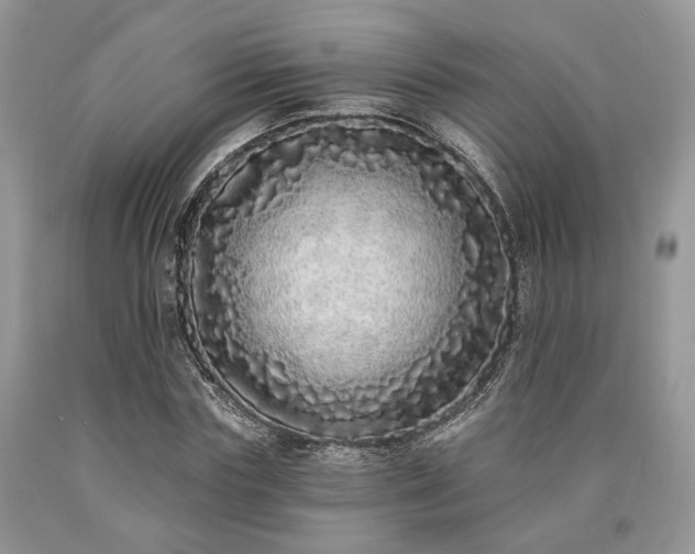 X0000090500827200707201545