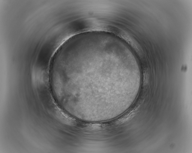 X0000090500828200707201545