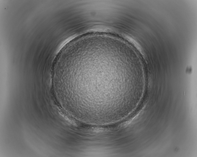X0000090500829200707201545