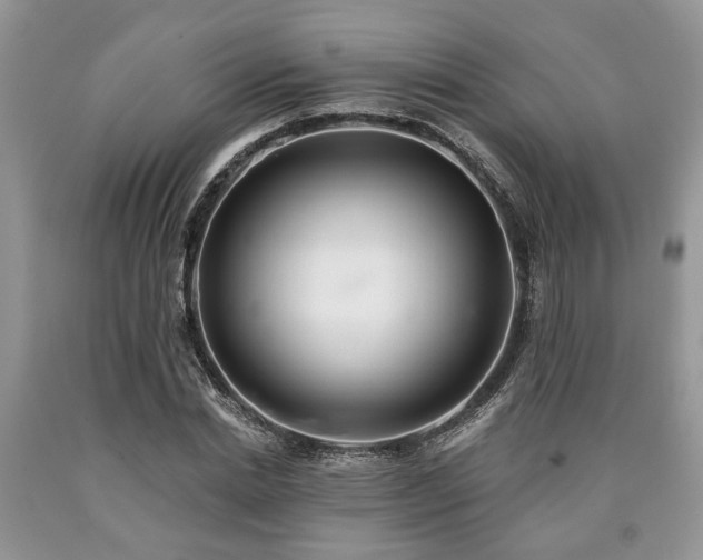 X0000090500830200707201545