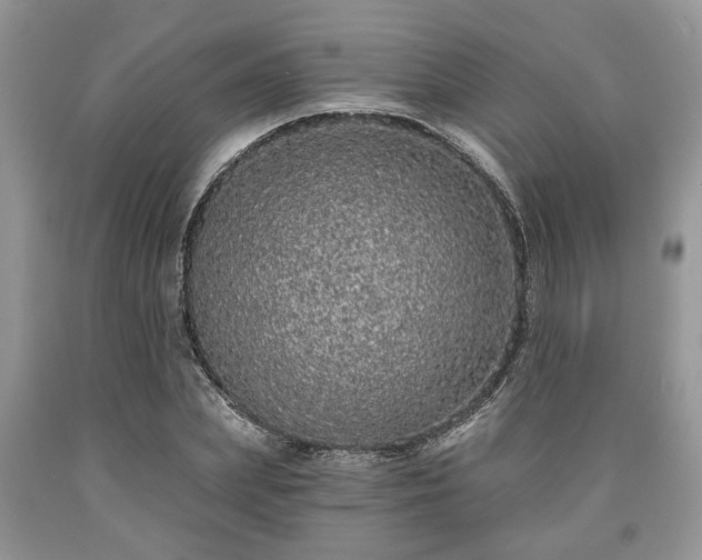 X0000090500831200707201545